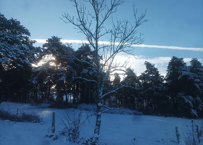 Suite A La Campagne Dans Une Jolie Maison En Bois.