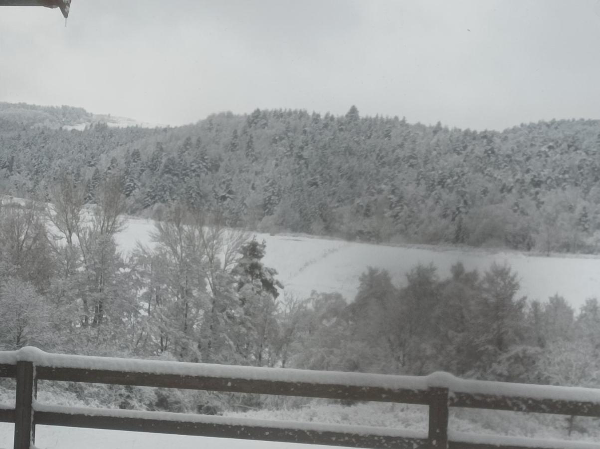 A La Campagne Dans Jolie Maison En Bois. *
