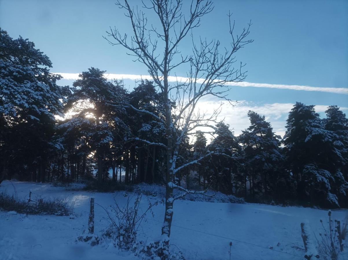 A La Campagne Dans Jolie Maison En Bois. Homestay *